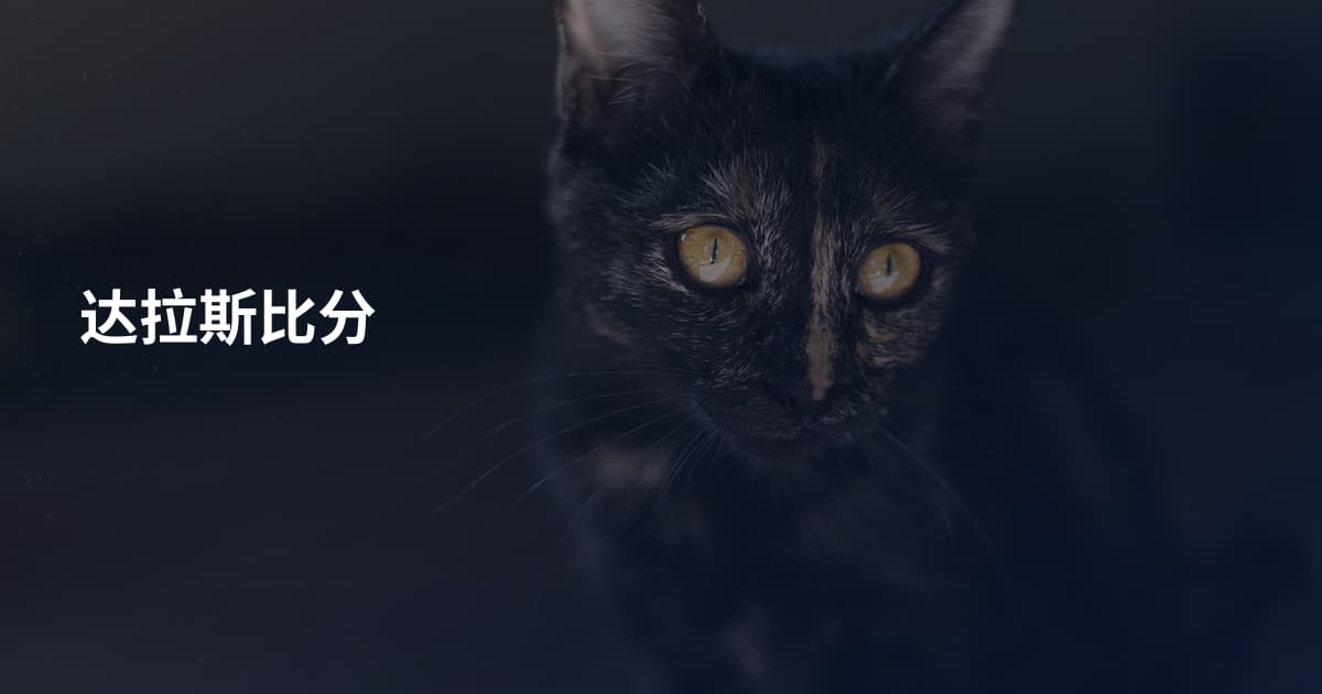 达拉斯比分