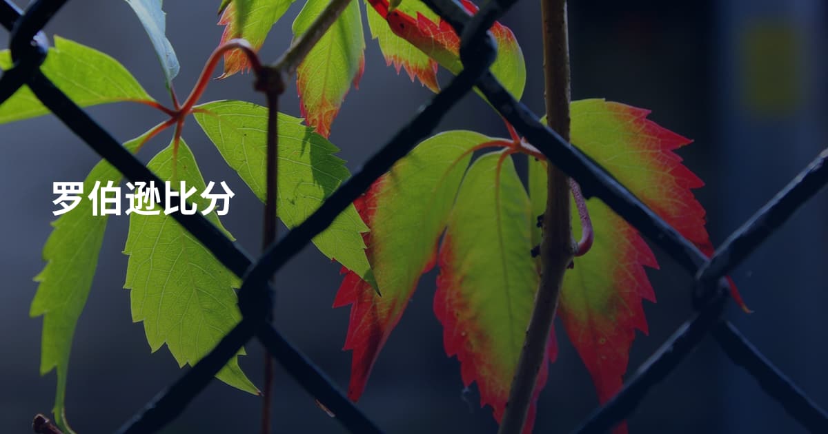 罗伯逊比分