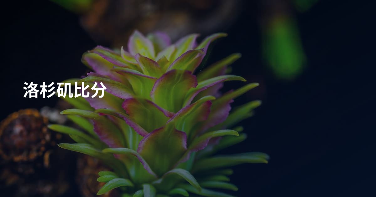 洛杉矶比分