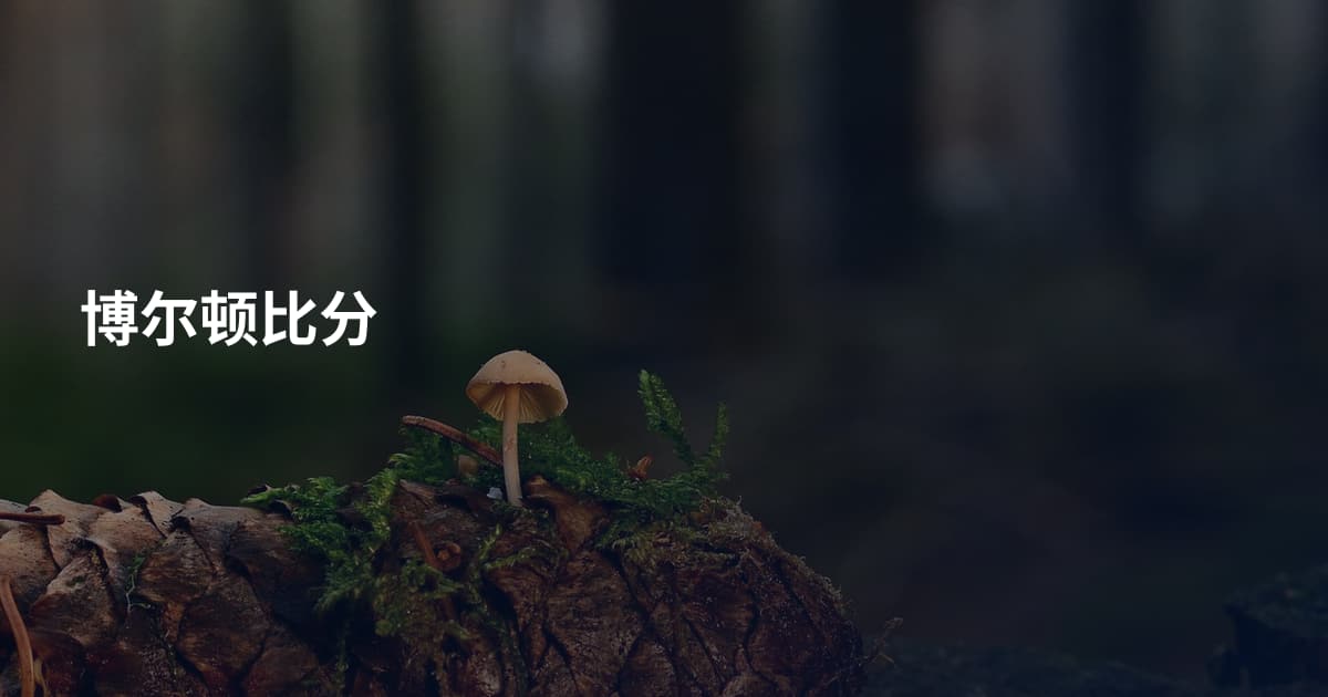 博尔顿比分