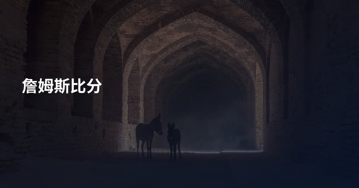 詹姆斯比分
