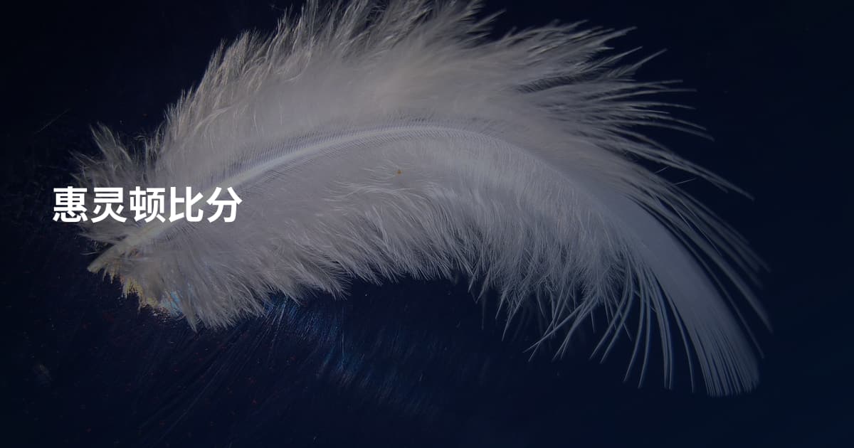 惠灵顿比分