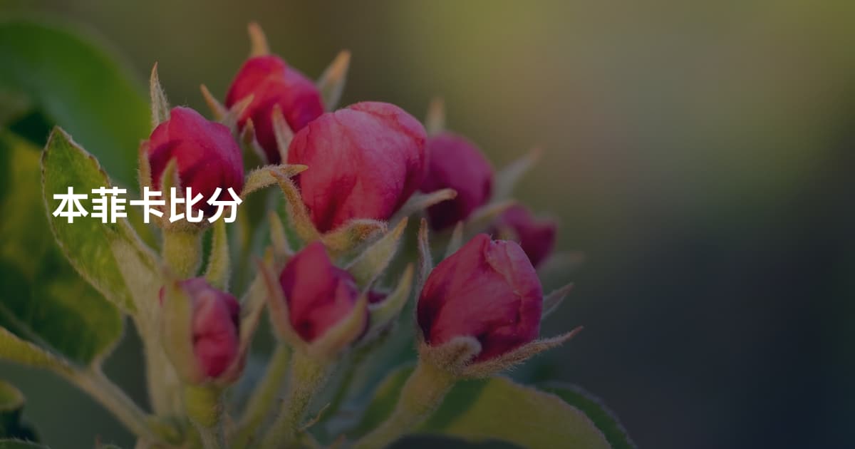 本菲卡比分