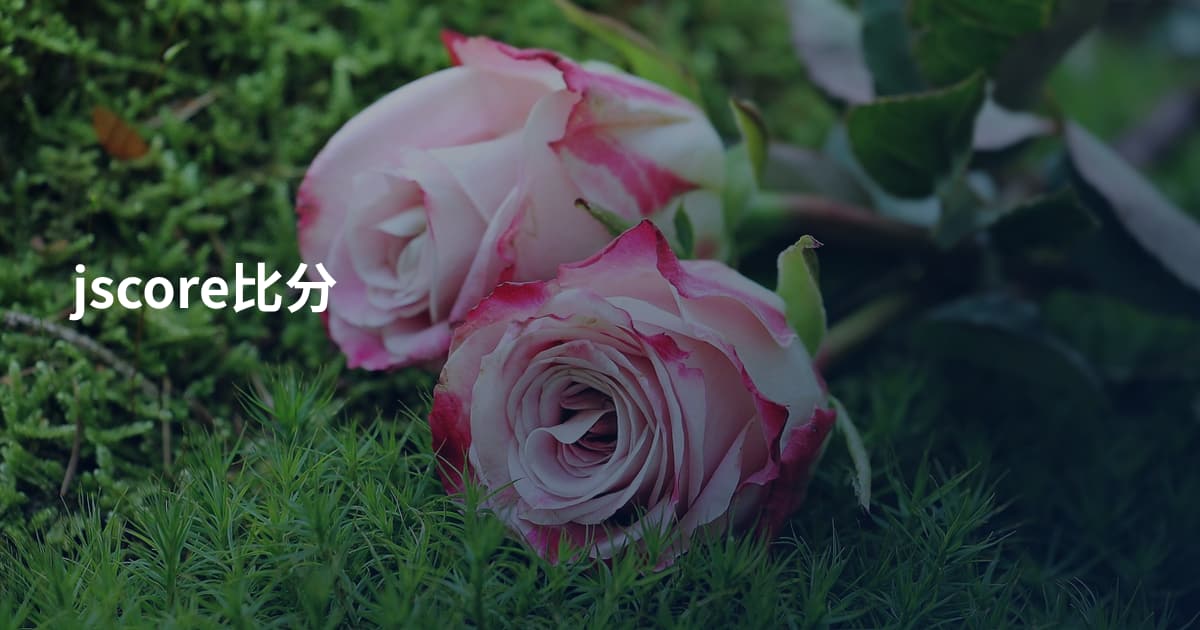 jscore比分