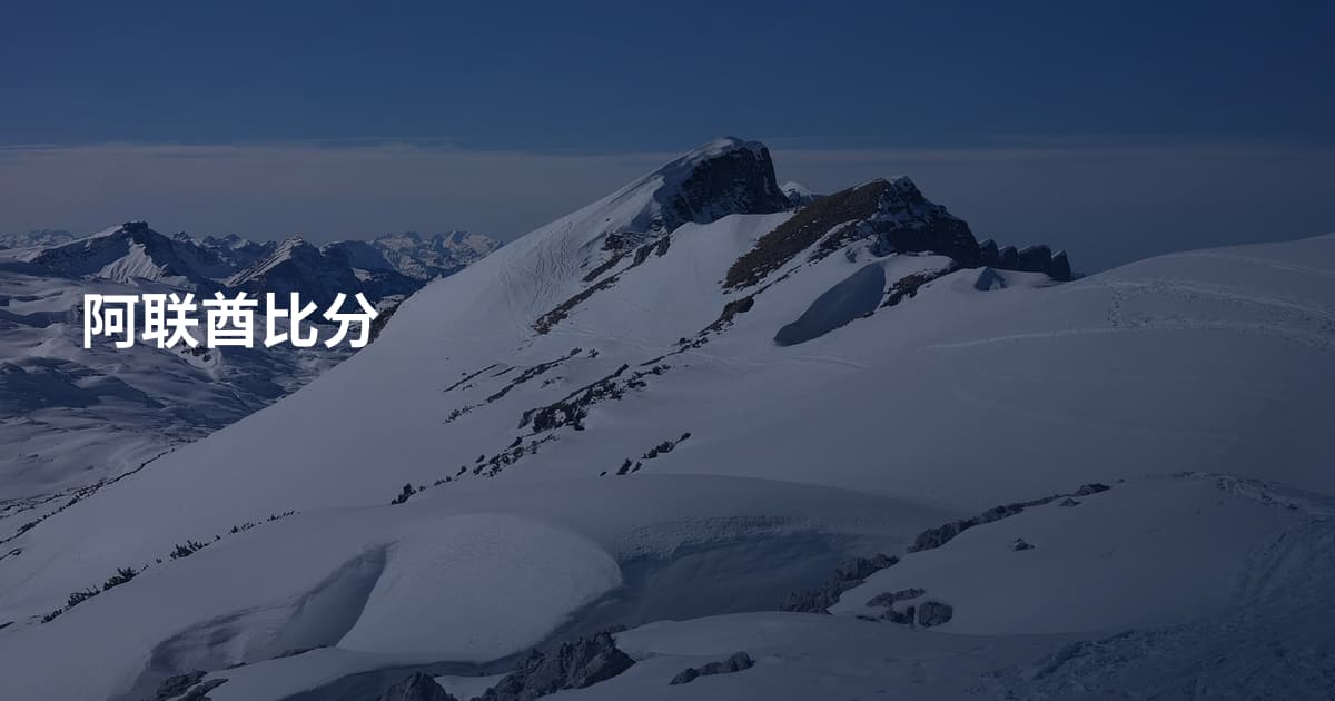 阿联酋比分