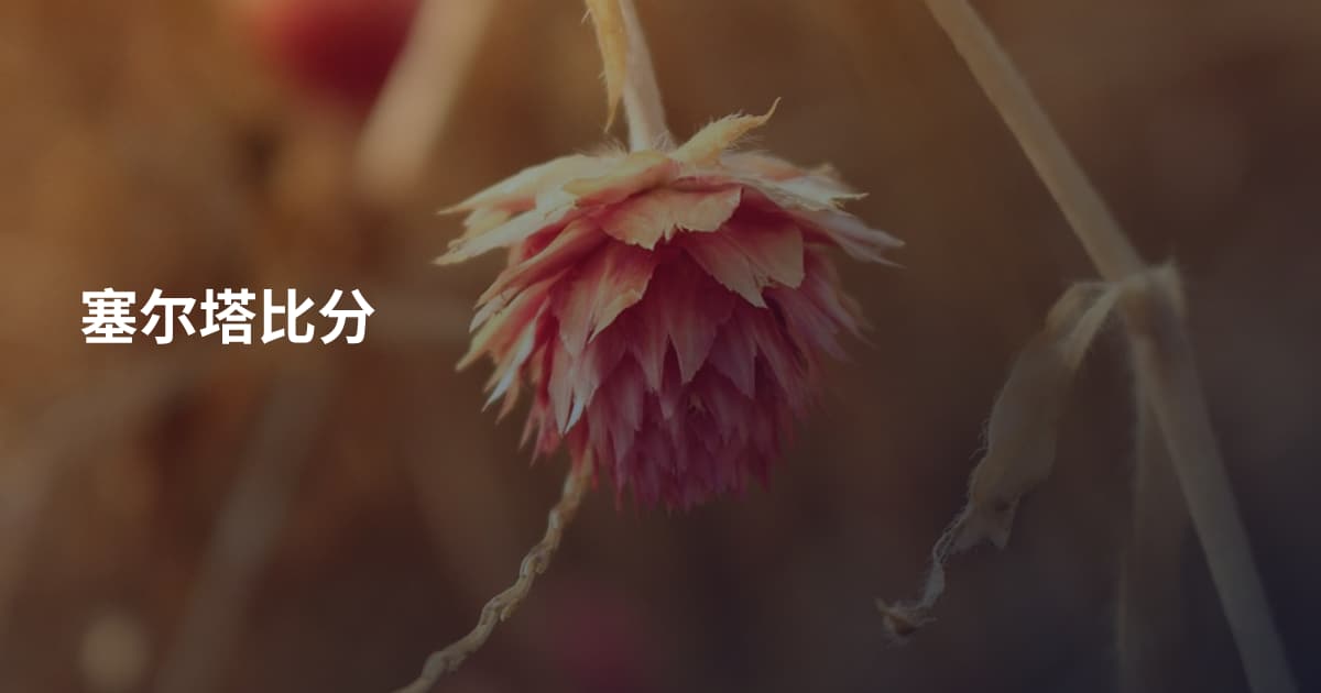 塞尔塔比分