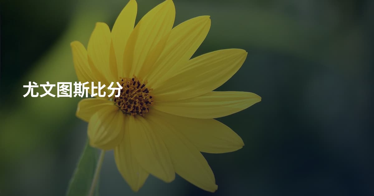 尤文图斯比分