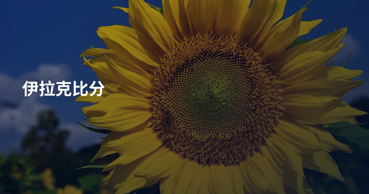 伊拉克比分