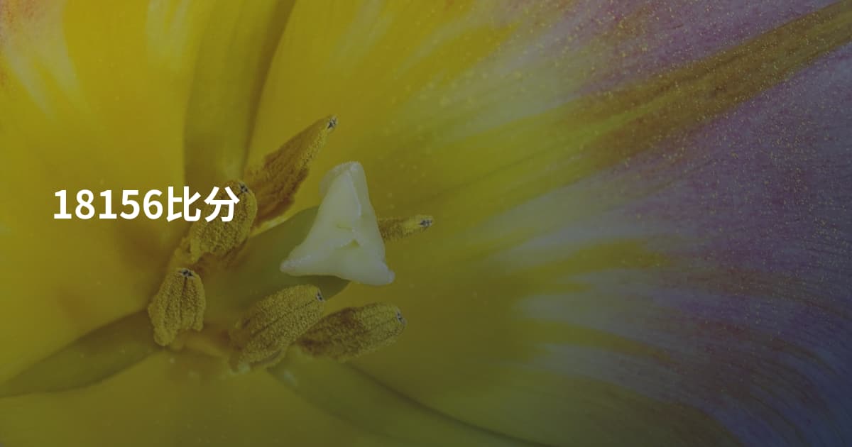 18156比分