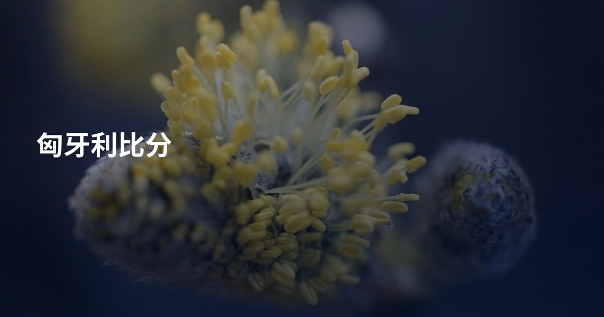 匈牙利比分