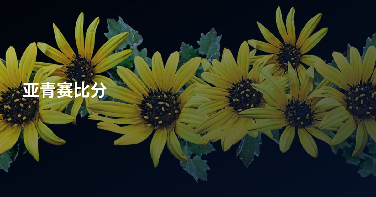 亚青赛比分
