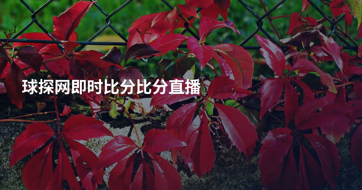球探网即时比分比分直播