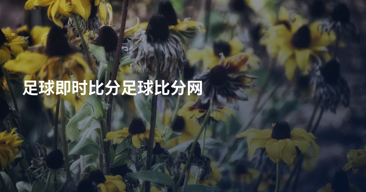 足球即时比分足球比分网