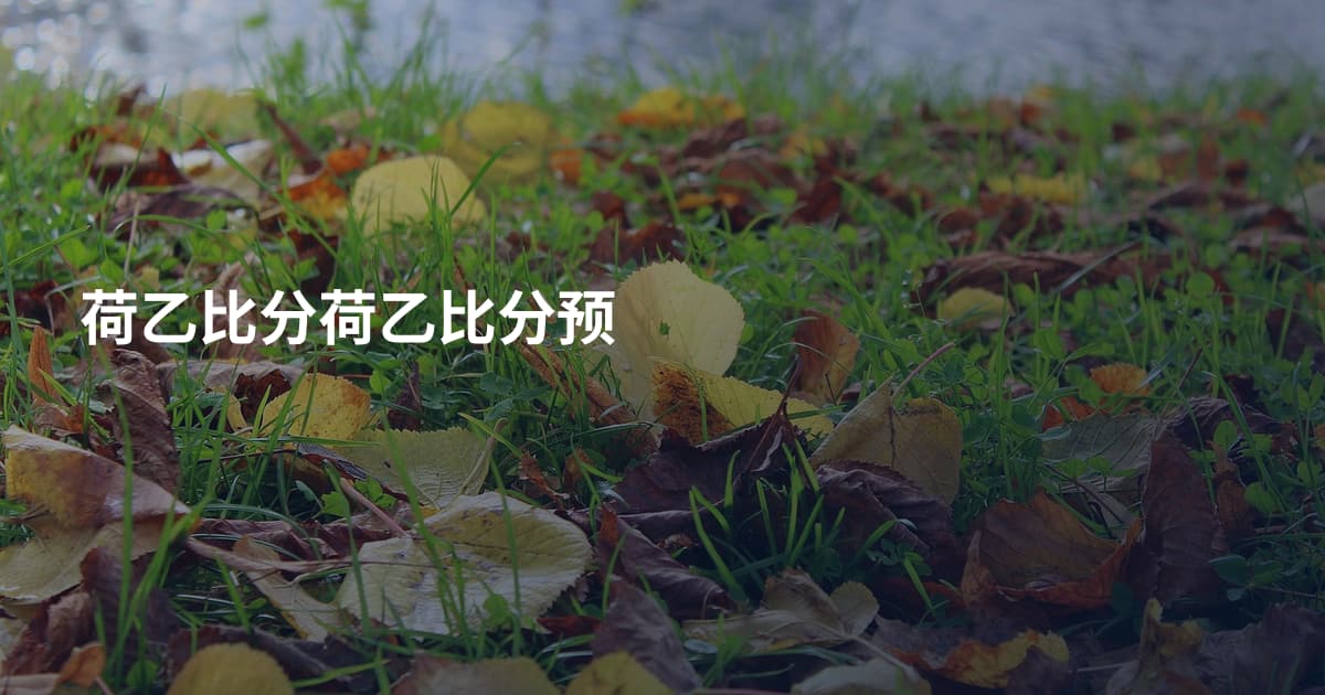 荷乙比分荷乙比分预