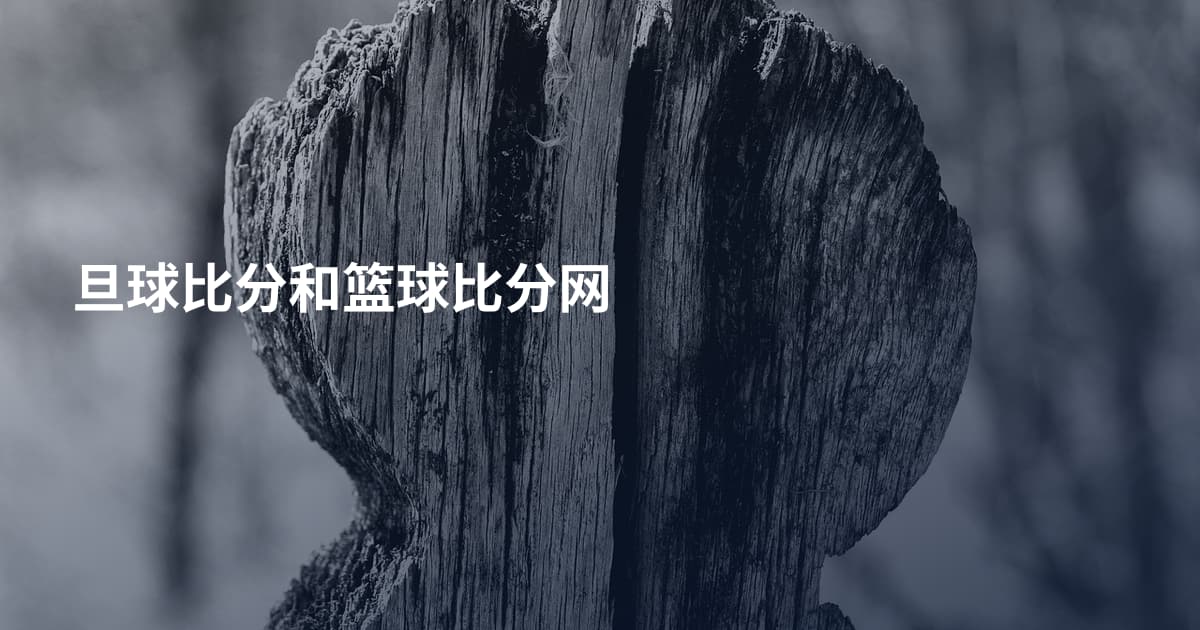 旦球比分和篮球比分网