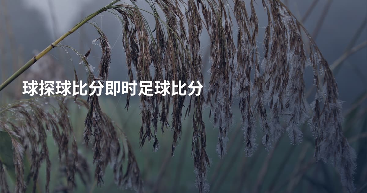 球探球比分即时足球比分