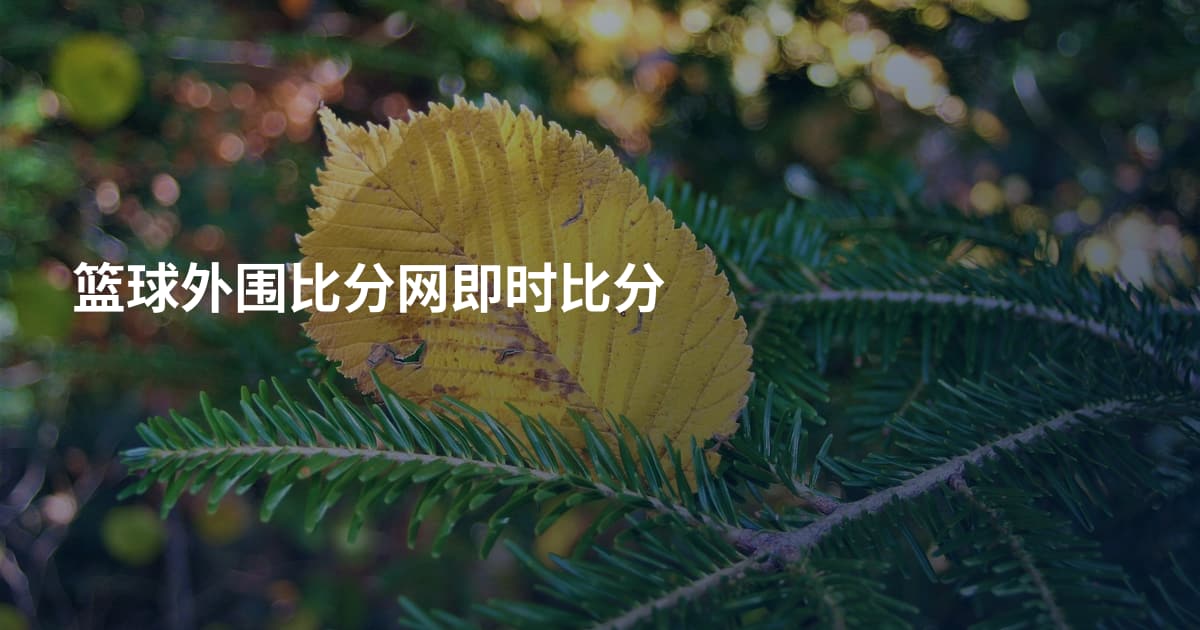 篮球外围比分网即时比分