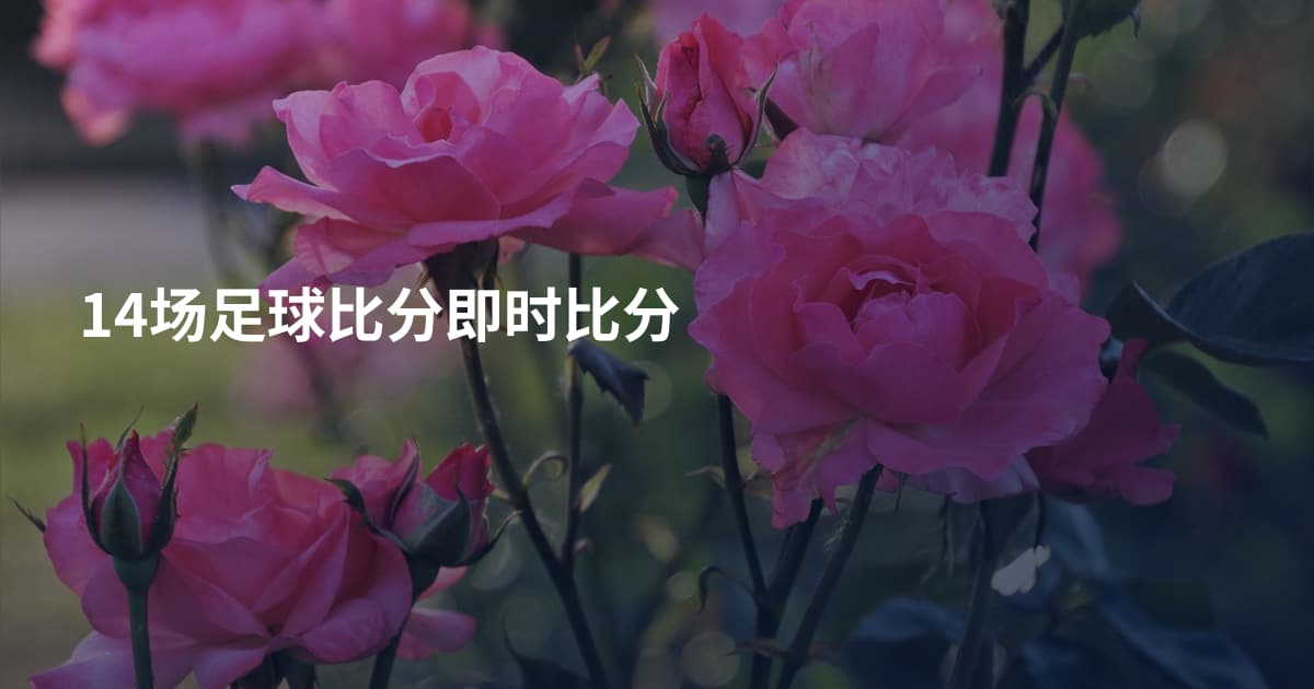 14场足球比分即时比分
