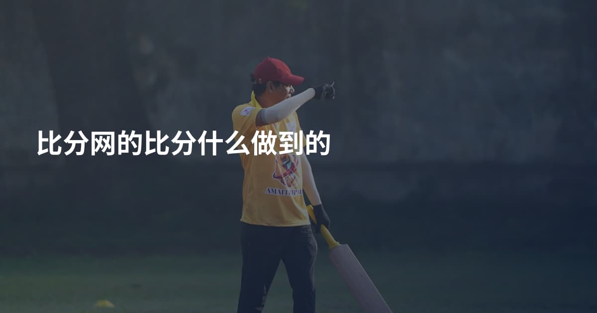 比分网的比分什么做到的