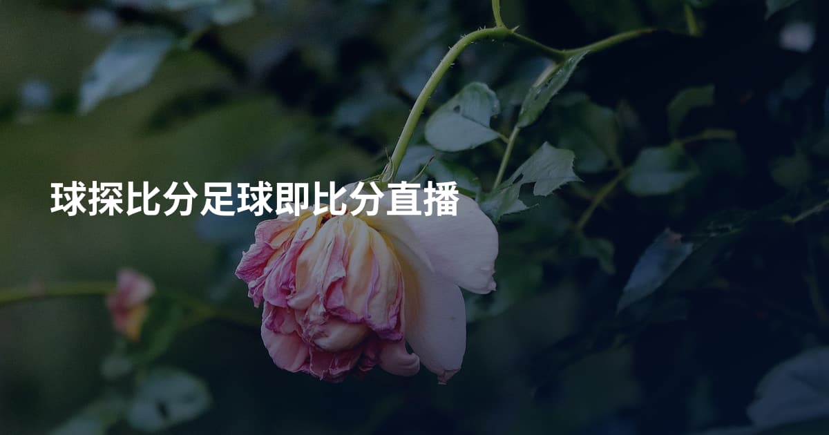 球探比分足球即比分直播