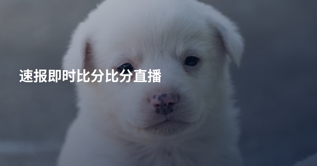 速报即时比分比分直播