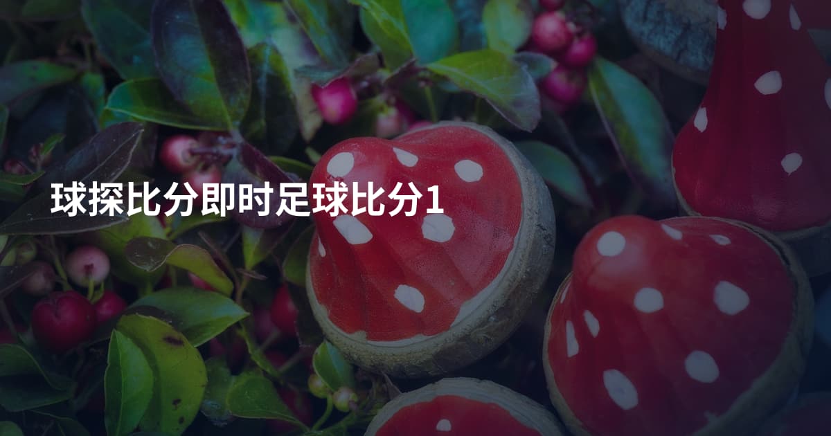 球探比分即时足球比分1
