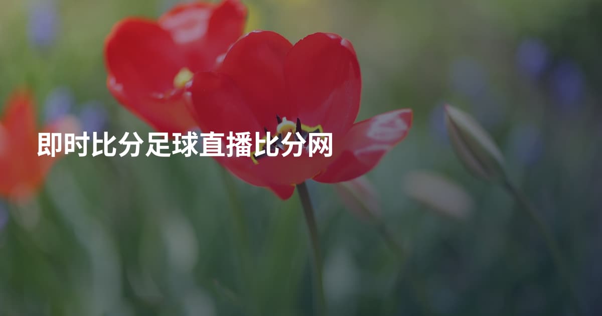 即时比分足球直播比分网