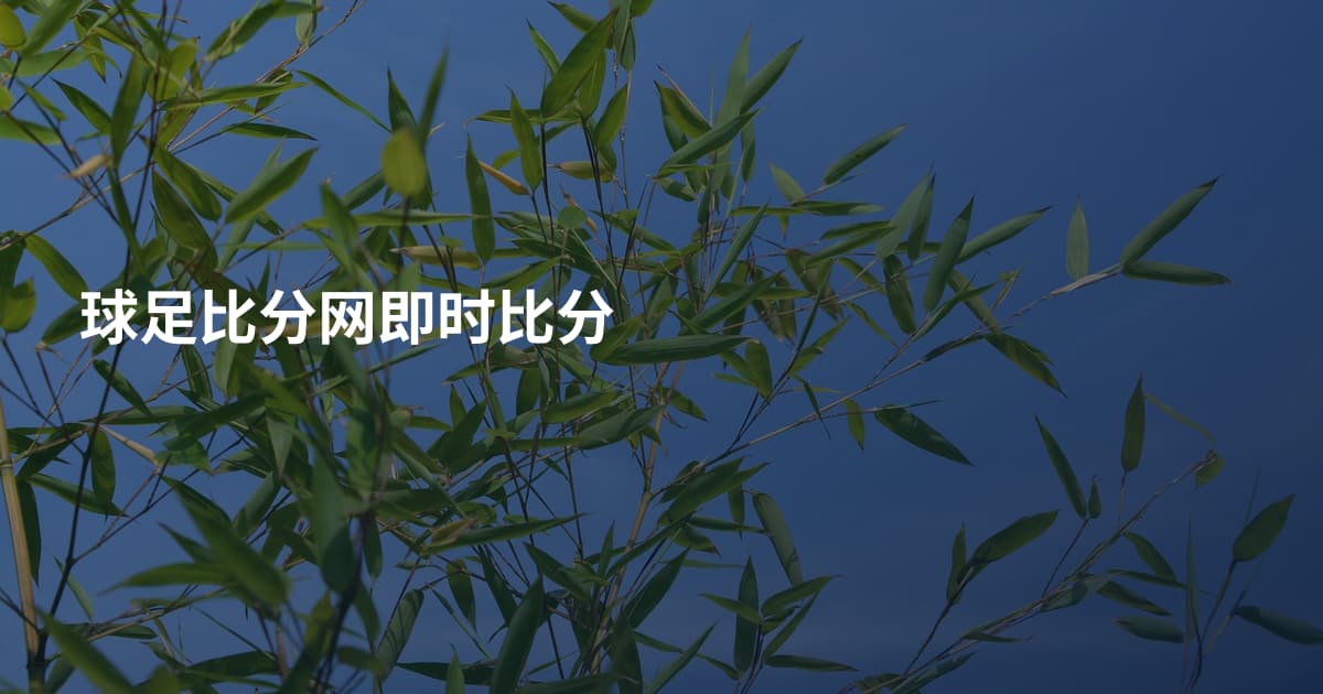 球足比分网即时比分