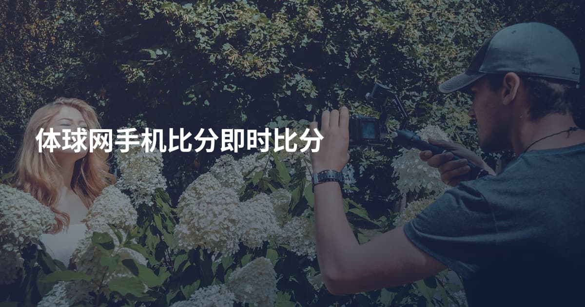 体球网手机比分即时比分