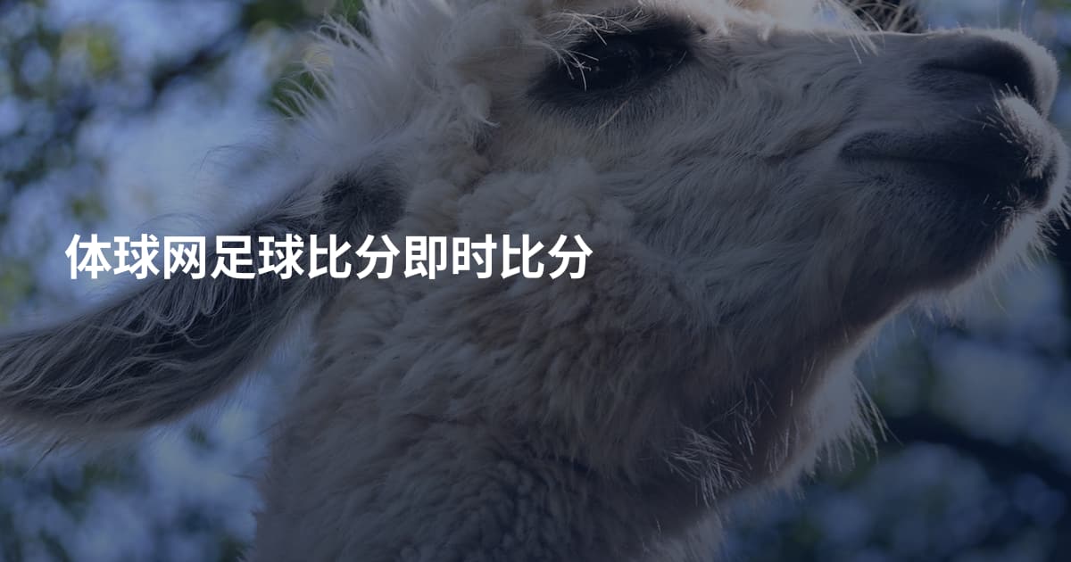 体球网足球比分即时比分
