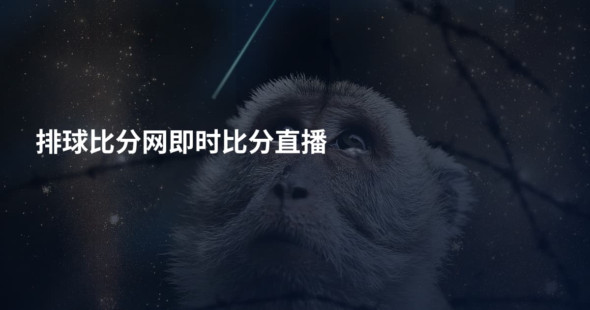 排球比分网即时比分直播