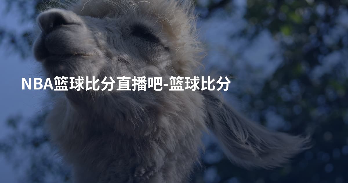 NBA篮球比分直播吧-篮球比分