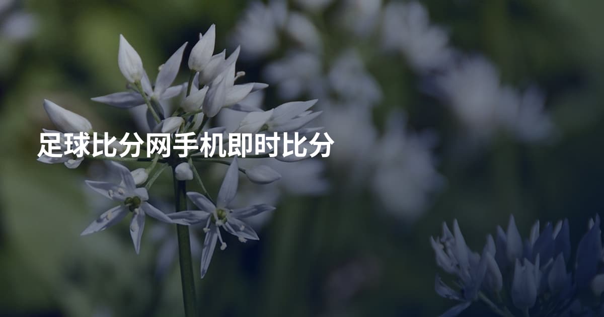 足球比分网手机即时比分
