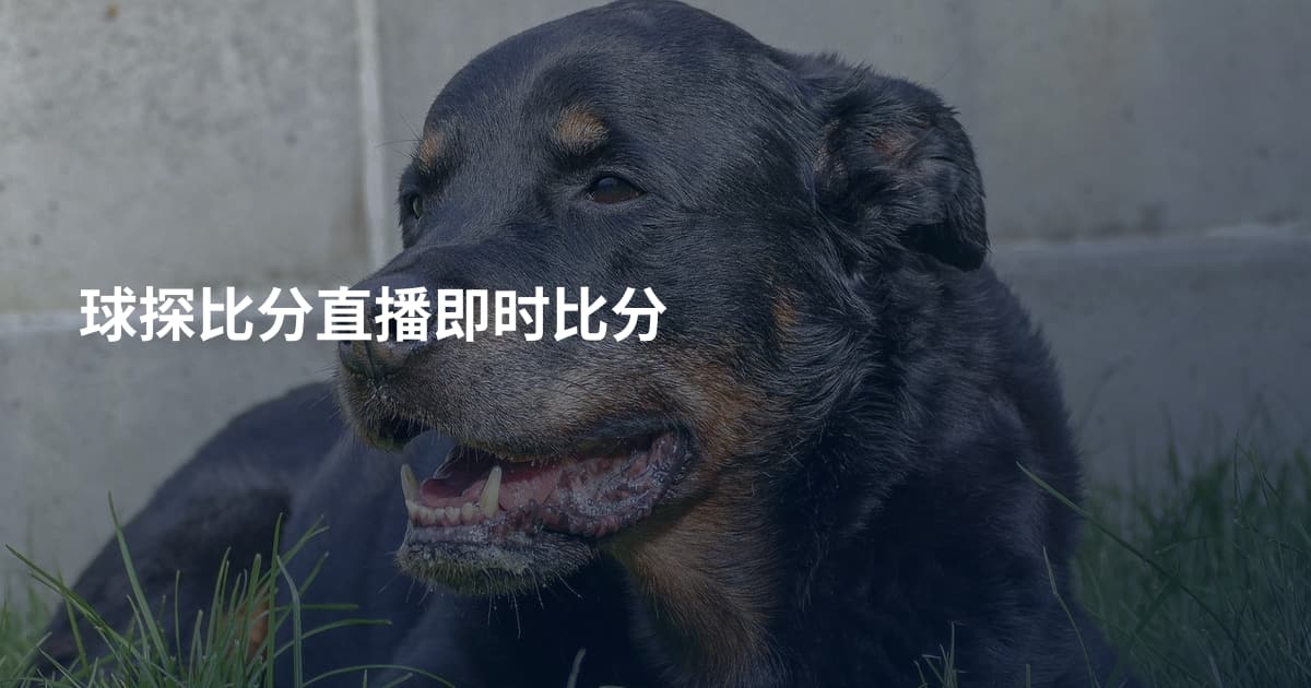 球探比分直播即时比分