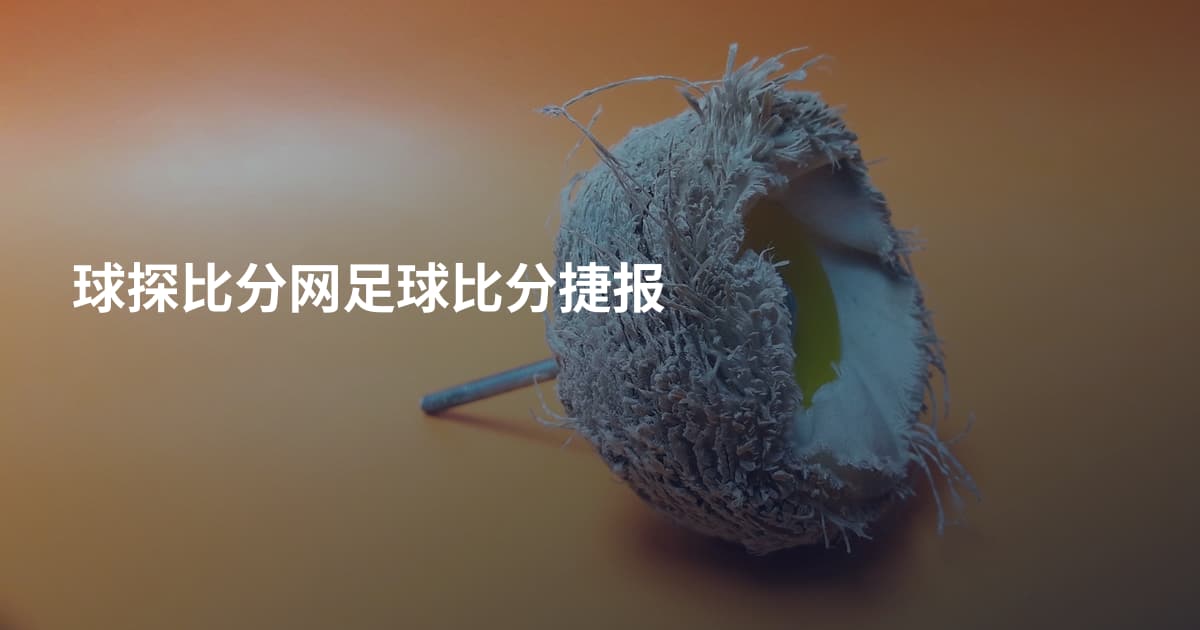 球探比分网足球比分捷报
