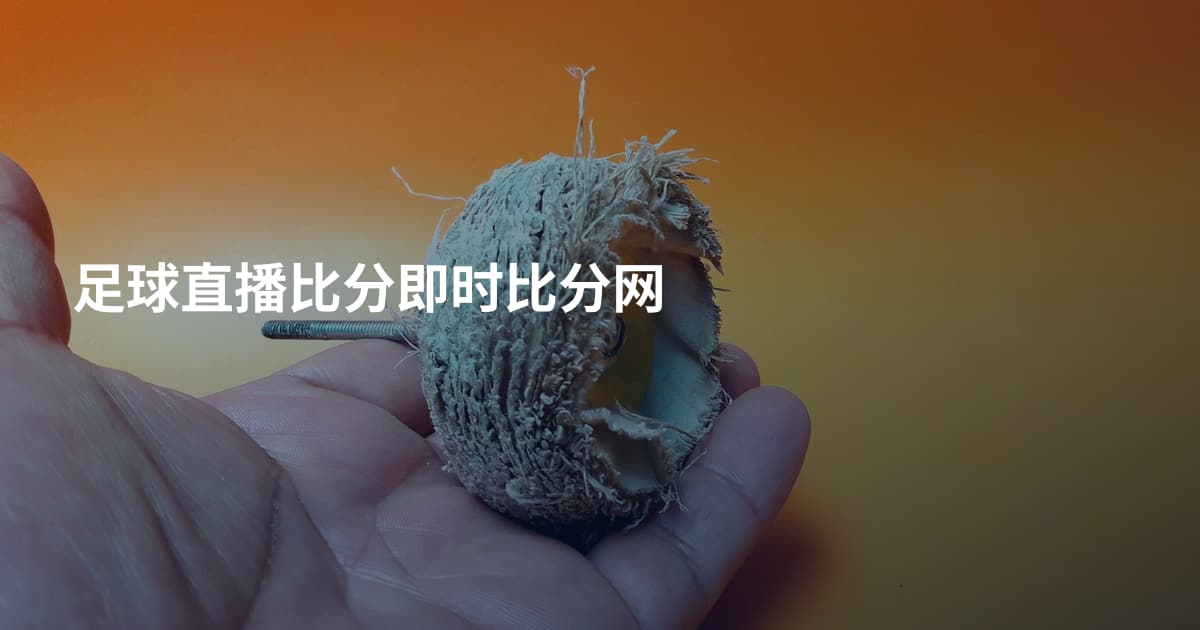 足球直播比分即时比分网
