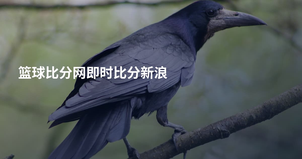 篮球比分网即时比分新浪