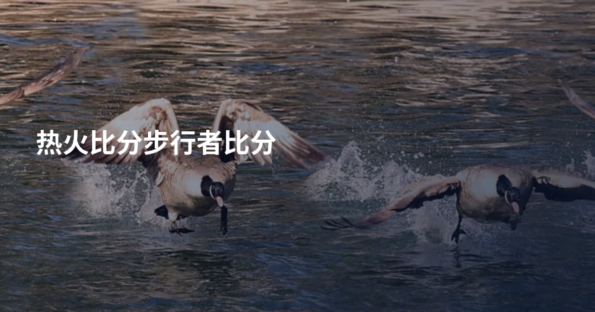 热火比分步行者比分