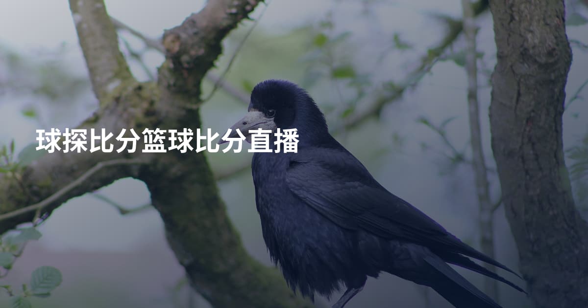 球探比分篮球比分直播