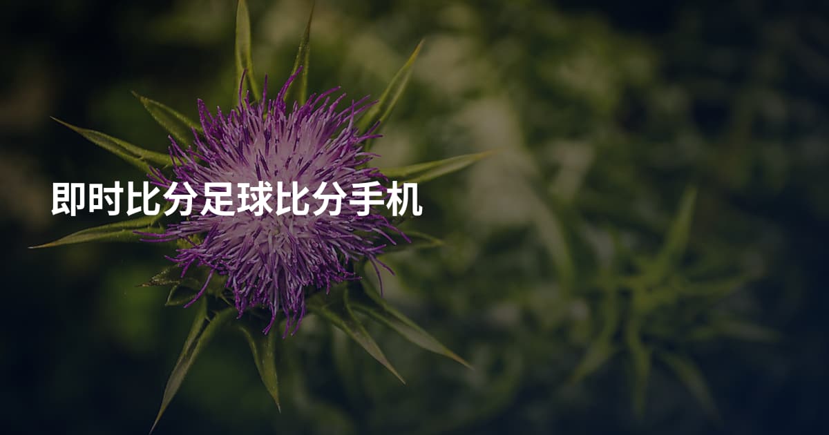 即时比分足球比分手机