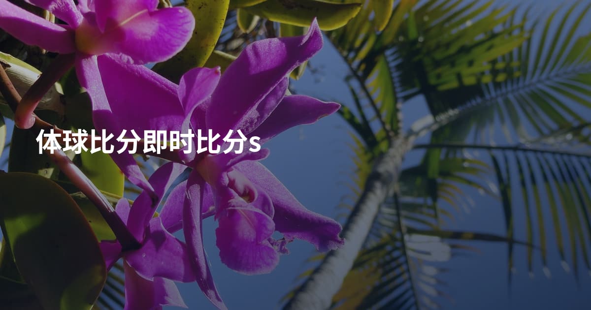 体球比分即时比分s