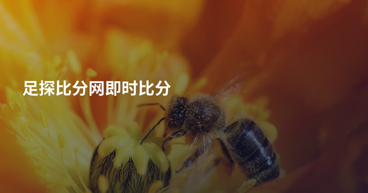 足探比分网即时比分