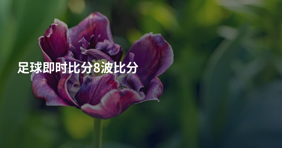 足球即时比分8波比分