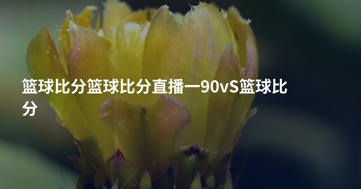 篮球比分篮球比分直播一90vS篮球比分