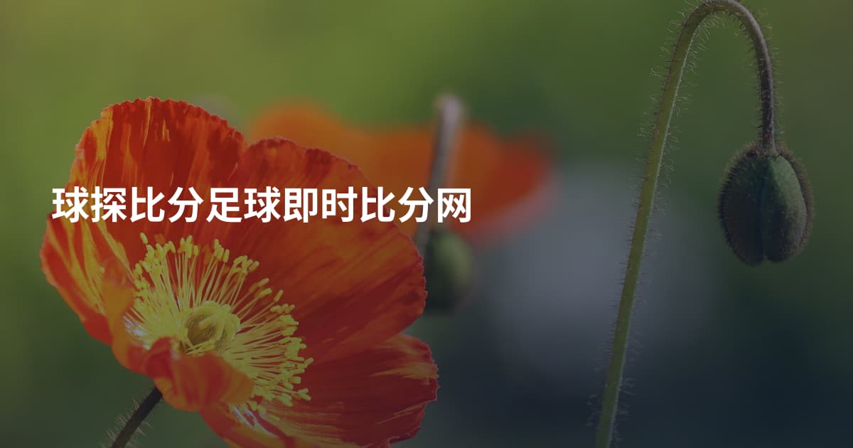 球探比分足球即时比分网