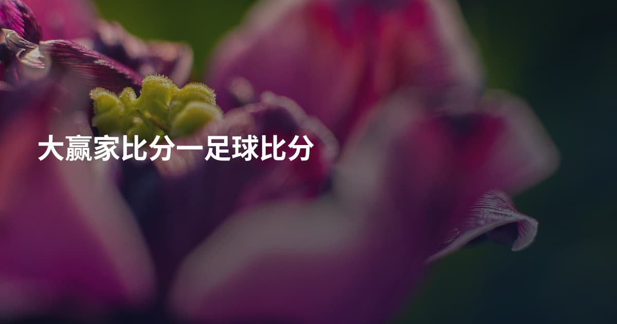 大赢家比分一足球比分