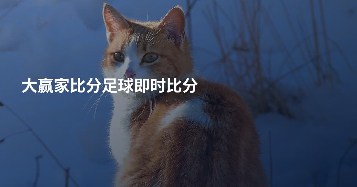 大赢家比分足球即时比分