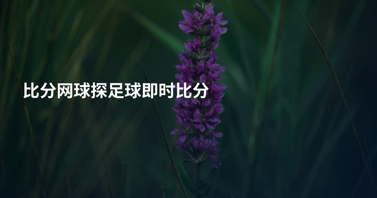 比分网球探足球即时比分