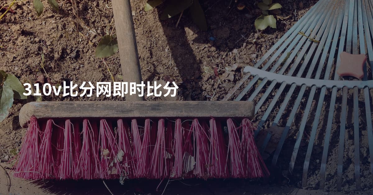 310v比分网即时比分