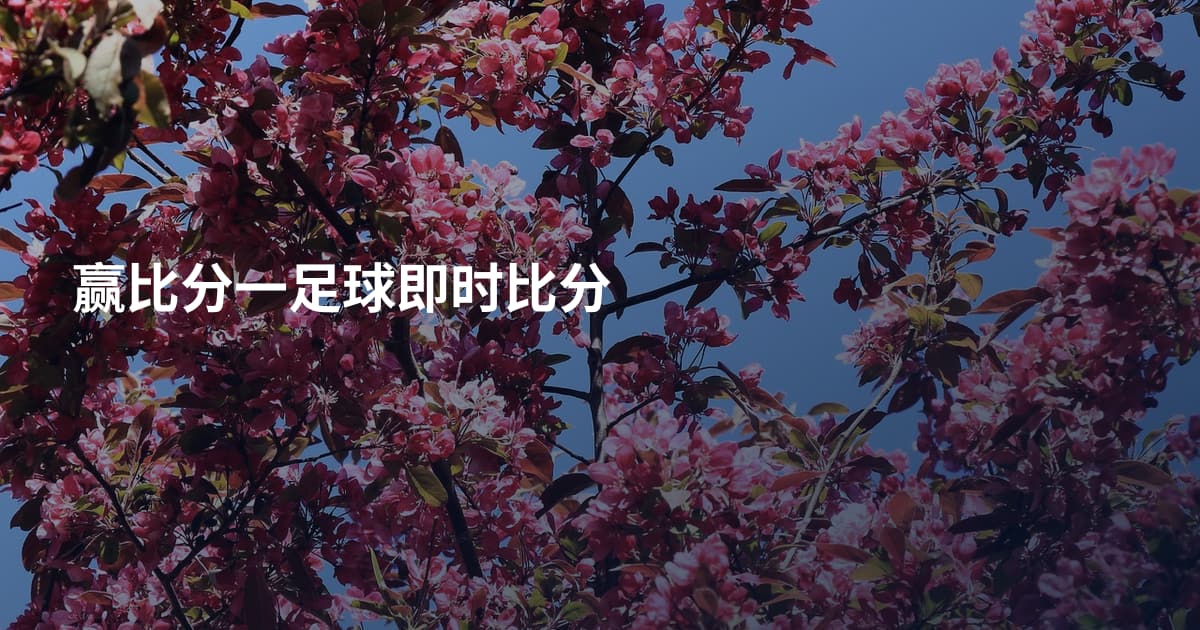 赢比分一足球即时比分